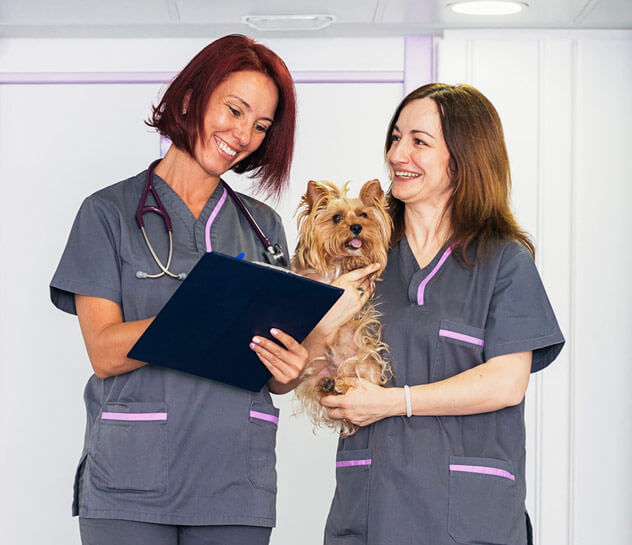 Two veterinary nurses in scrubs, one holding a clipboard and the other cradling a dog.