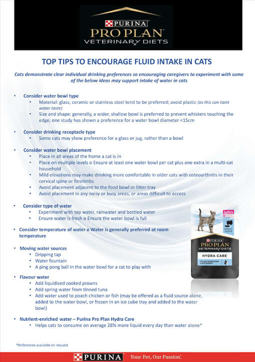 Top Tips to Encourage Water Intake in Cats