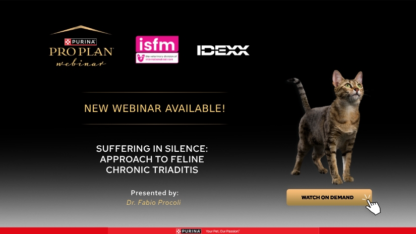 New Recording available - Suffering in Silence: Approach to Feline Chronic Triaditis