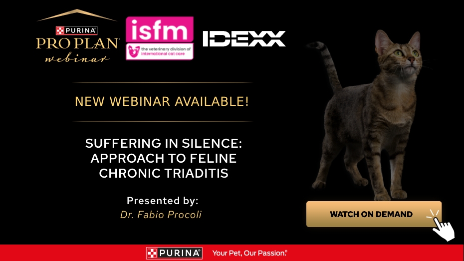 New Recording available - Suffering in Silence: Approach to Feline Chronic Triaditis