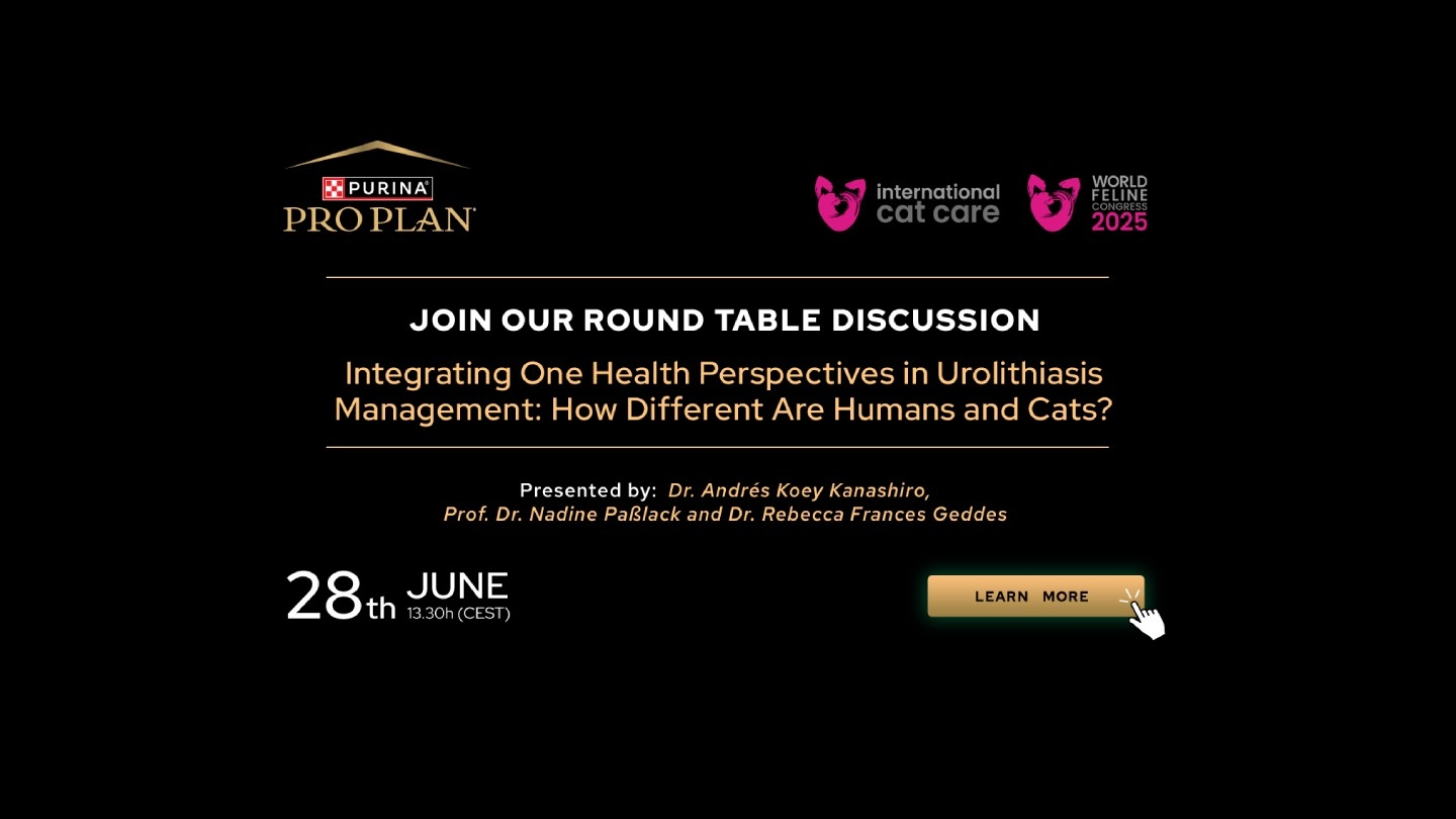 Integrating One Health Perspectives in Urolithiasis Management: How Different Are Humans and Cats?