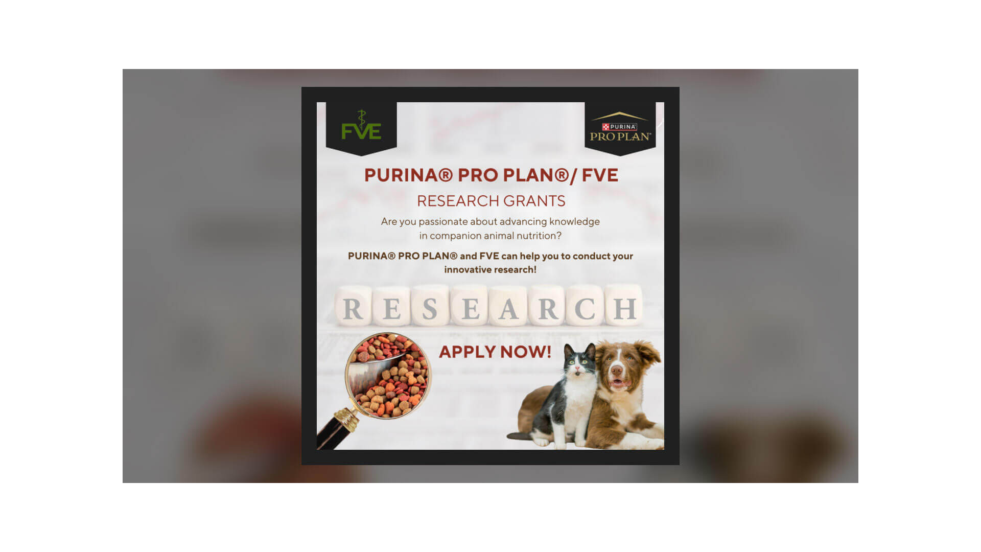 FVE Research Grants