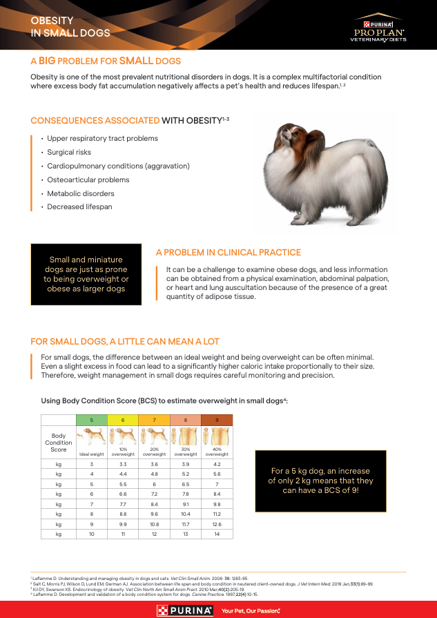 Weight Management_OM Dog_Client Leaflet_ April 2025