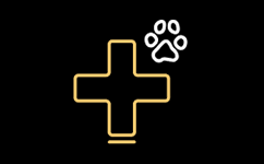 Vet Academy Nurse
