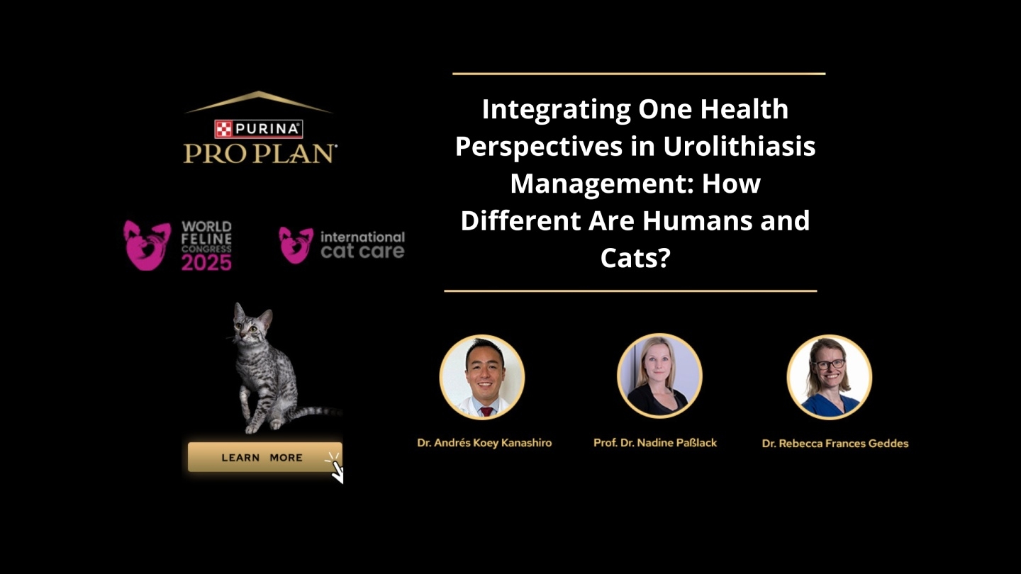 Groundbreaking 'One Health' Discussion at World Feline Congress 2025 Illuminates Shared Challenges in Feline and Human Urinar