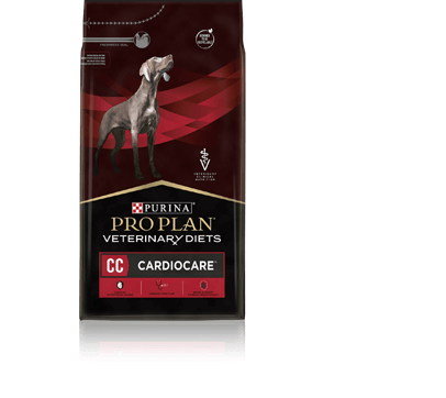 banner-pack