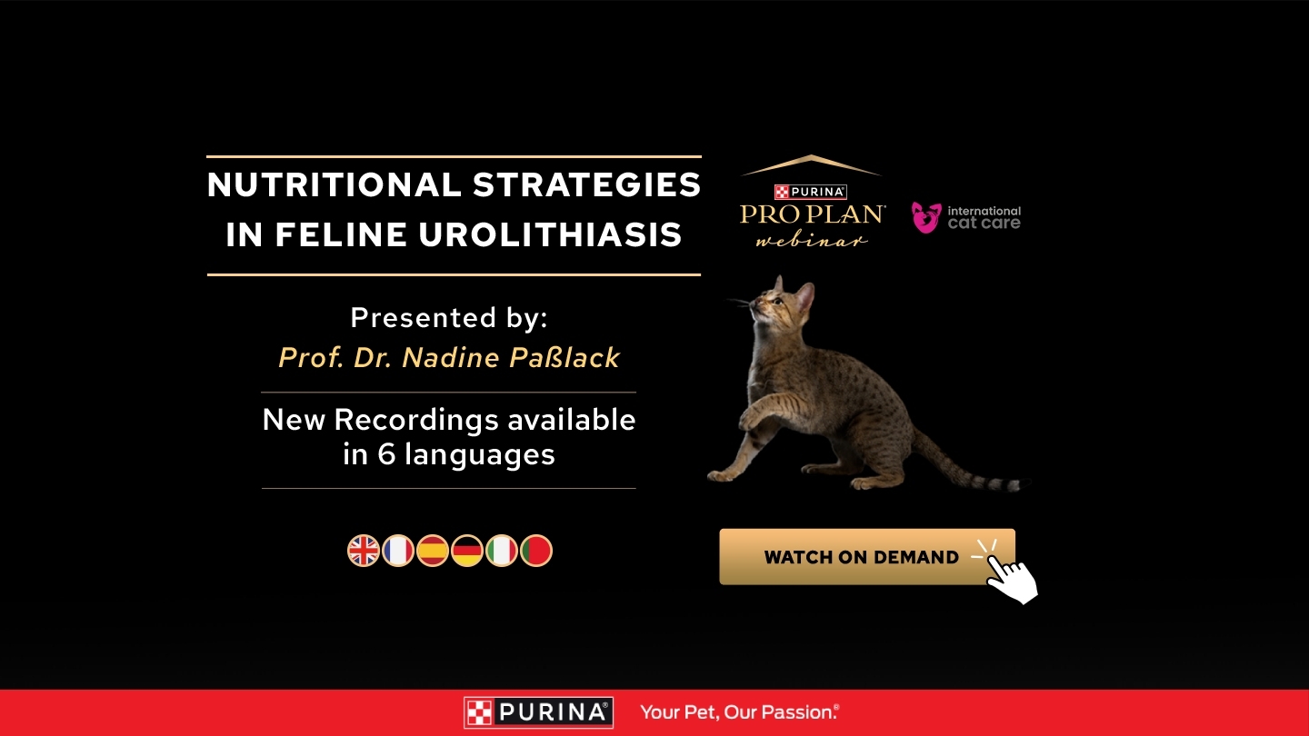 NUTRITIONAL STRATEGIES IN FELINE UROLITHIASIS - Recording available