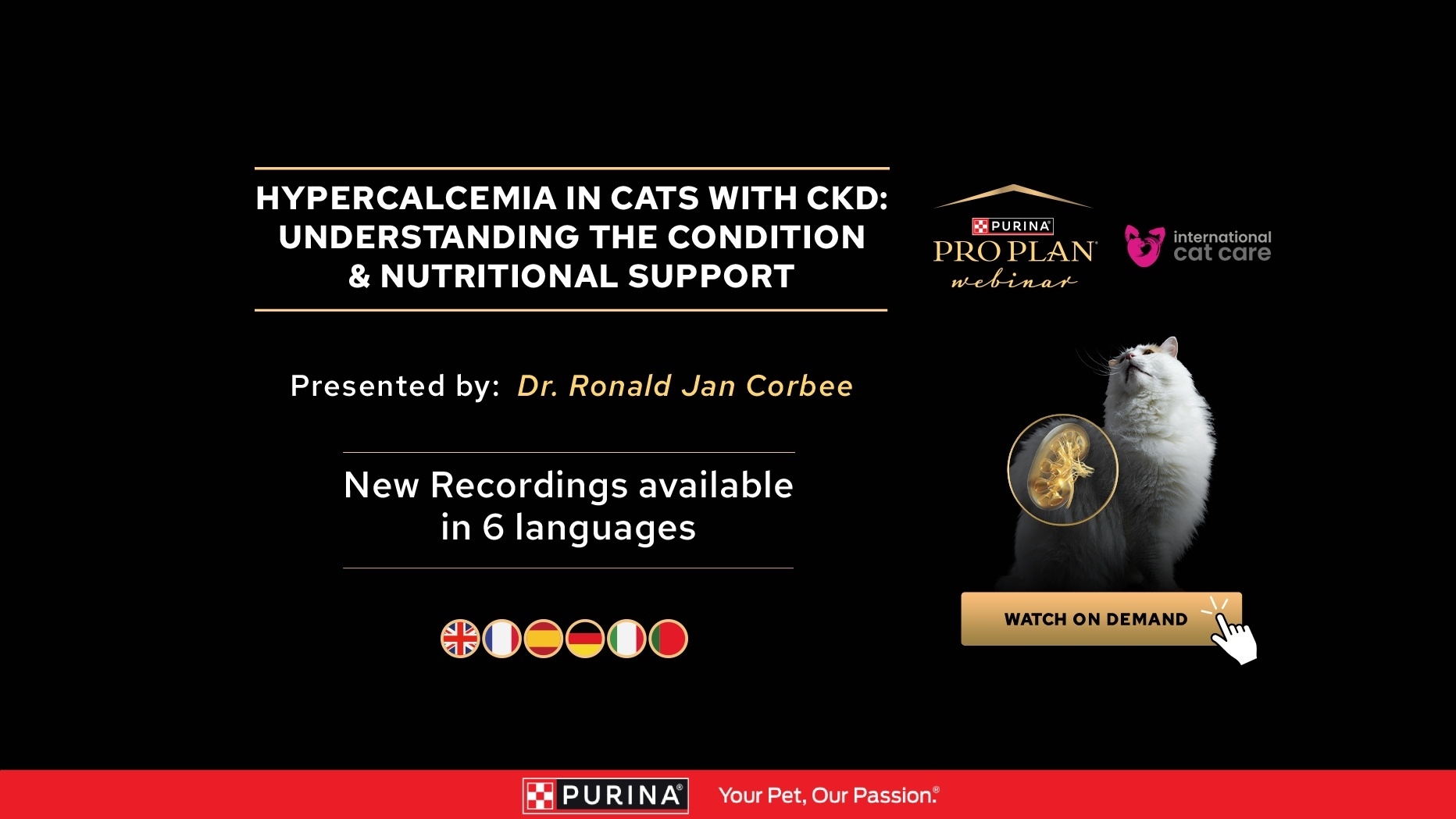 Recording available - Hypercalcemia in cats with CKD: Understanding the condition & nutritional support