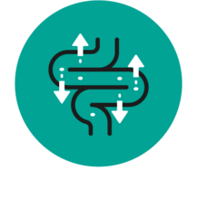 Easy To Digest