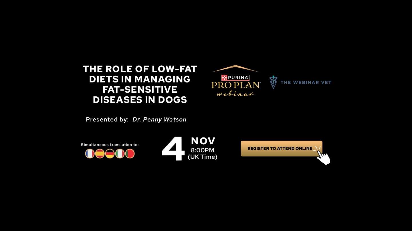 Sign up for the webinar: Low-Fat Diets for Fat-Sensitive Diseases in Dogs