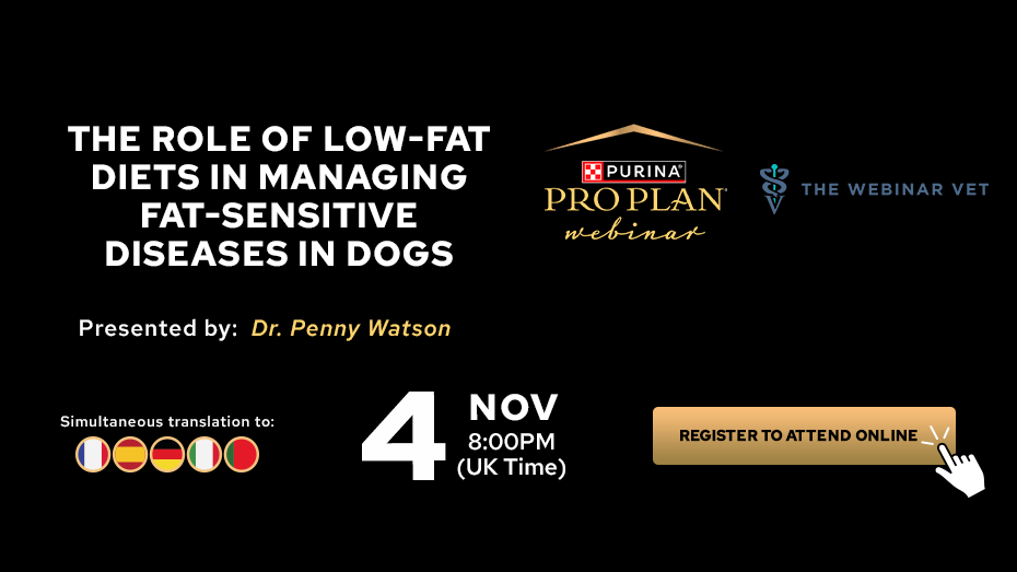 Sign up for the webinar: Low-Fat Diets for Fat-Sensitive Diseases in Dogs