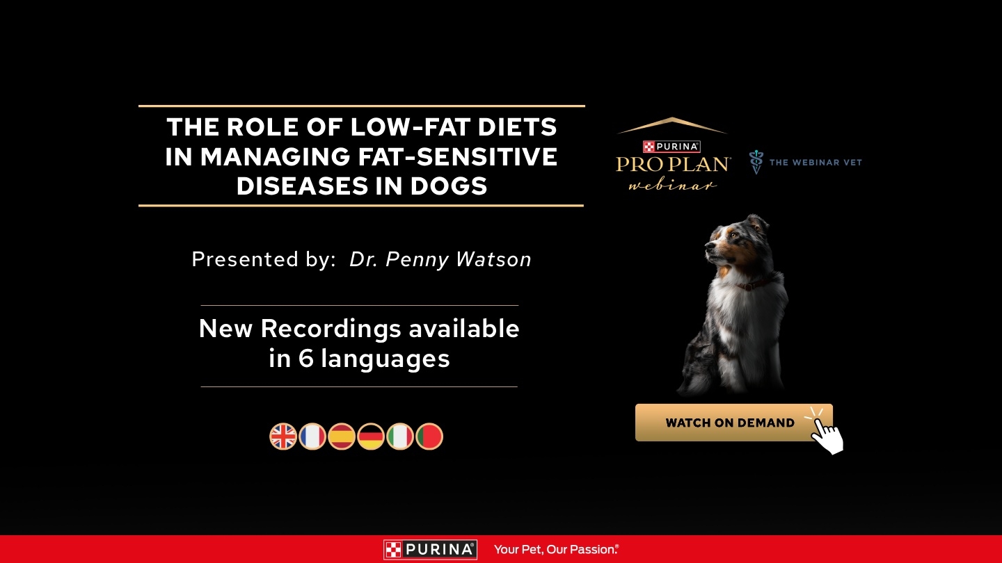 New Recording available - ROLE OF LOW-FAT DIETS IN DOGS