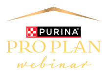 PP webinar