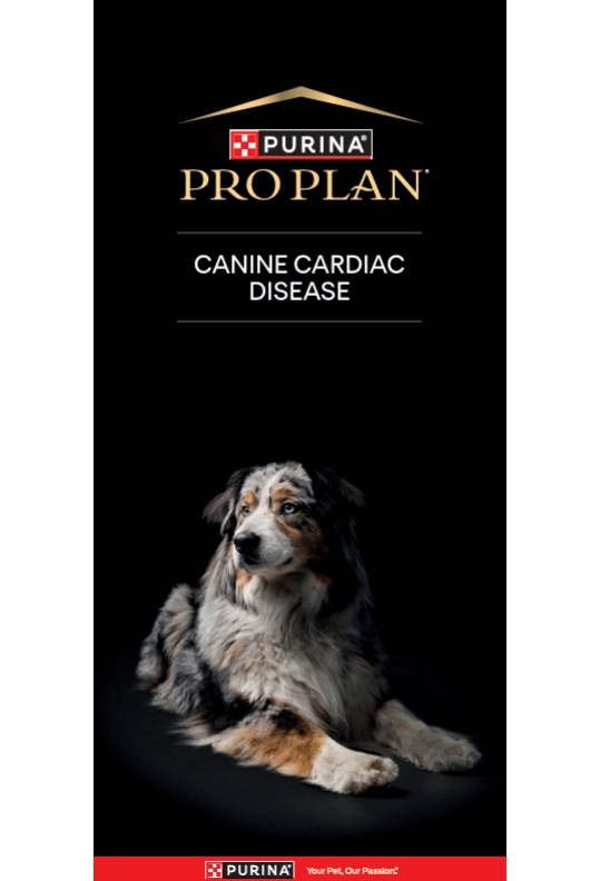 Cardiac Health_CANINE CARDIAC DISEASE_Vet Senior Kit_March26