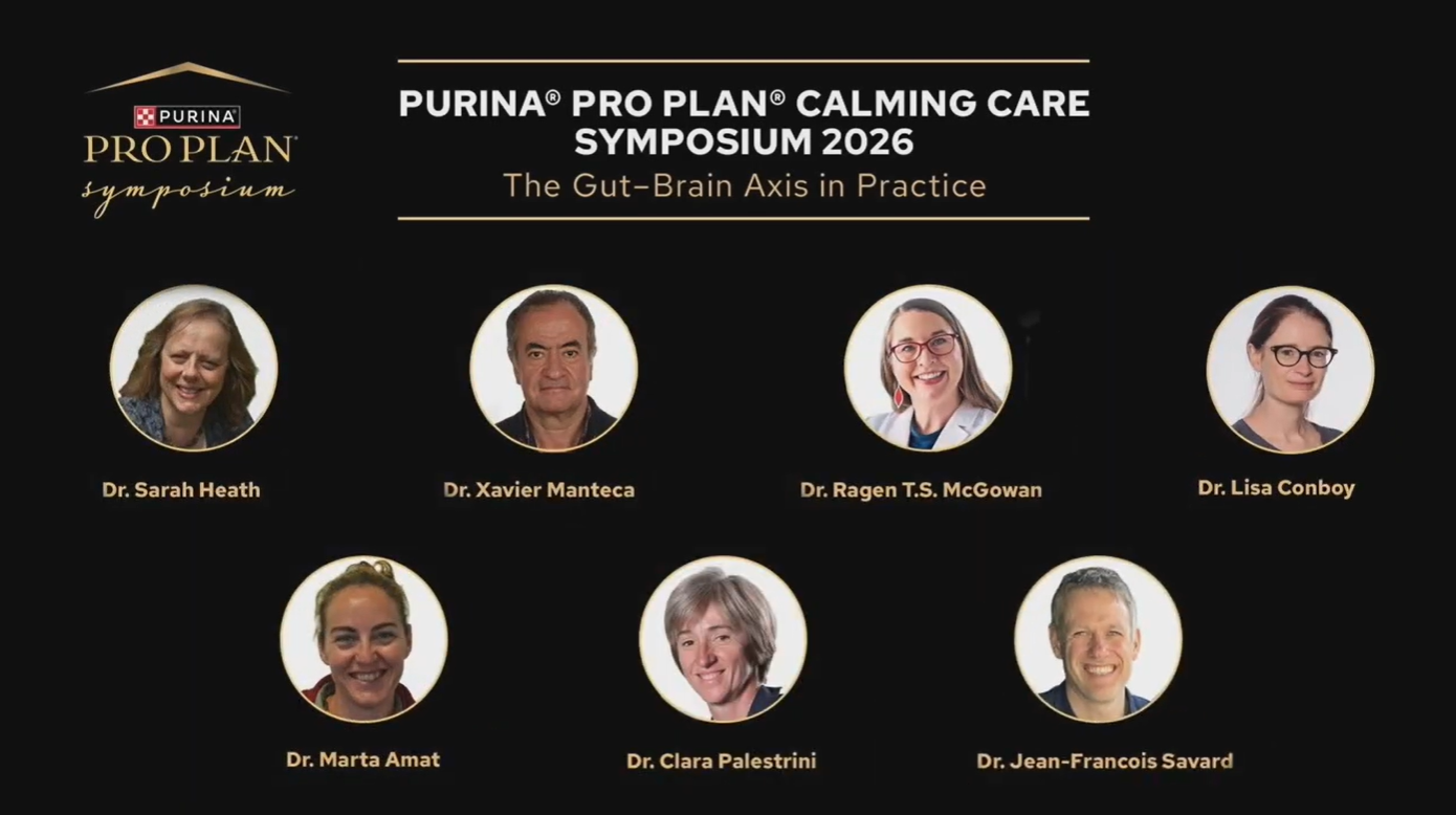 Calming Care Symposium round table