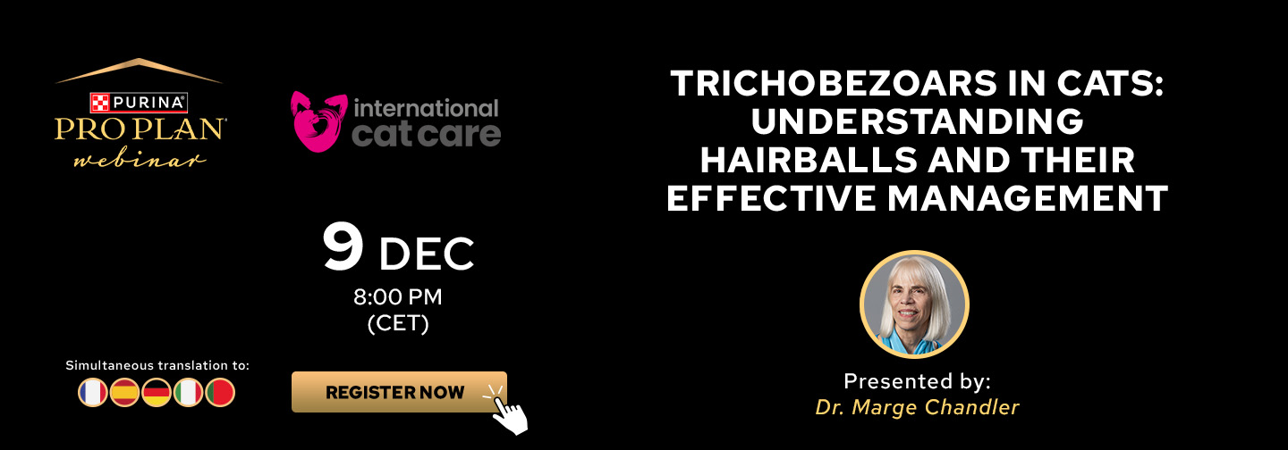 Trichobezoars in cats: understanding hairballs and their effective management