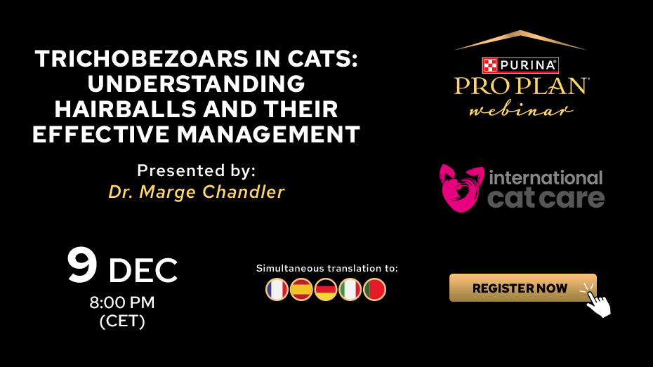 Trichobezoars in Cats: Understanding Hairballs and their Effective Management