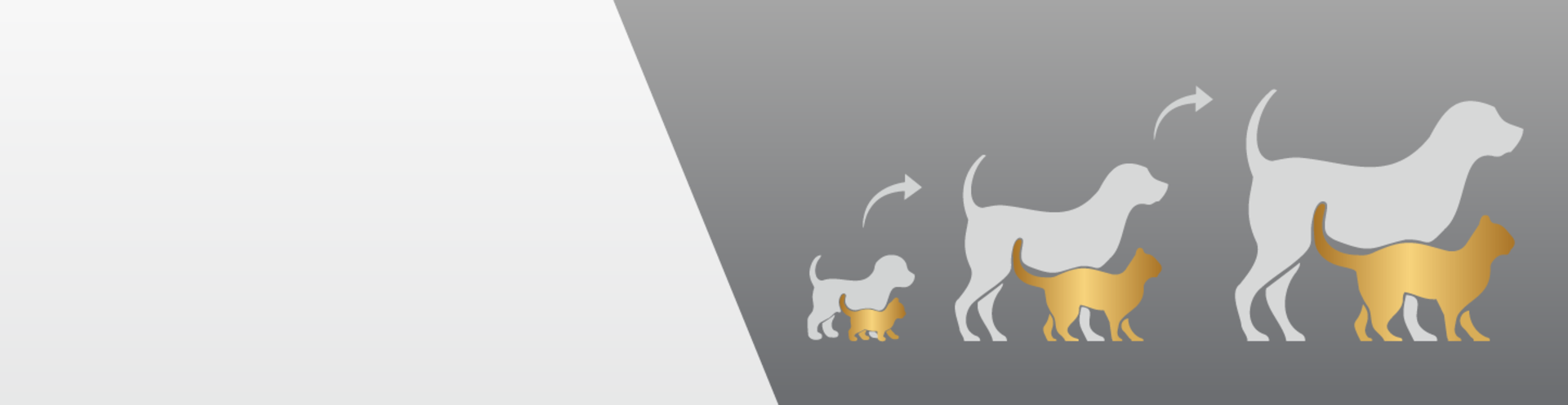 Life Stage