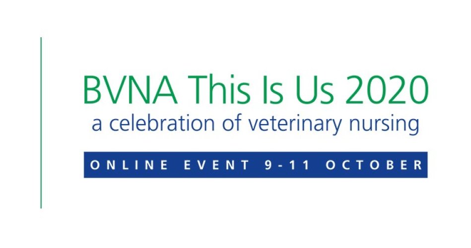 BVNA This Is Us 2020 - A celebration of veterinary nursing news header image