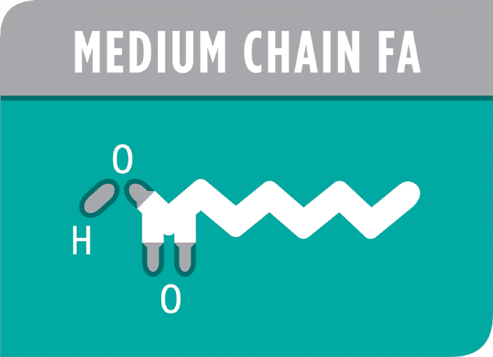 Medium Chain Fatty Acids highlight image