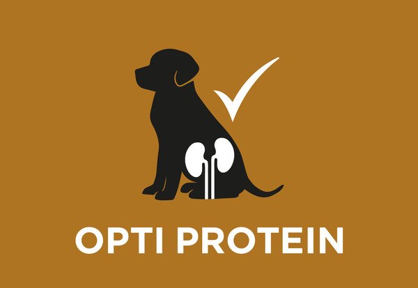 Restricted but high quality proteins