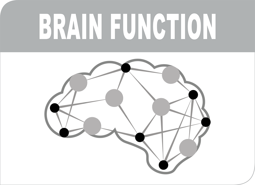 Brain function highlight image