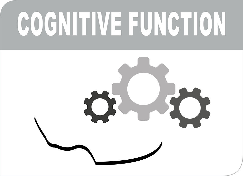 Cognitive function highlight image