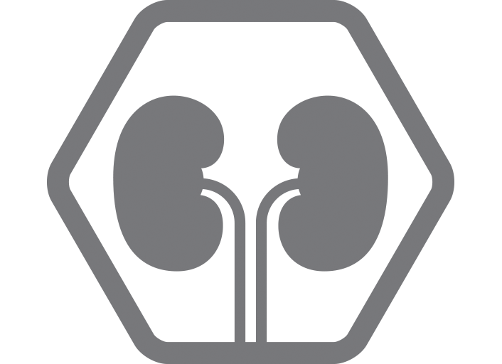Healthy kidneys highlight image