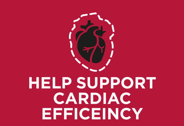 Helps to support hearts