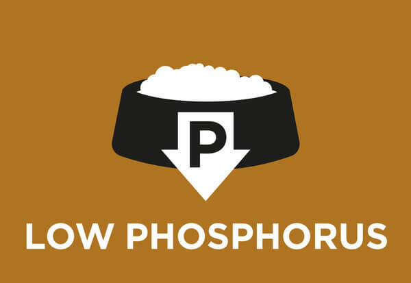 Low level of phosphorus