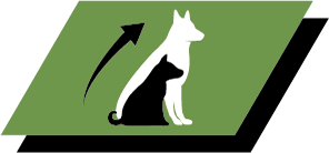 Adapted levels of protein and fat to help promote healthy growth and long term health