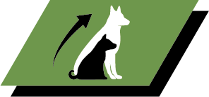 Adapted levels of protein and fat to help promote healthy growth and long term health