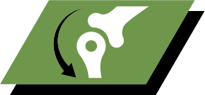 A combination of key nutrients that helps to support healthy joints for your puppy's active lifestyle