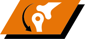 A combination of key nutrients that helps to support healthy joints for your dog's active lifestyle