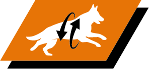 Formulated for large breed dogs with an athletic physique to help support healthy joints and an active lifestyle