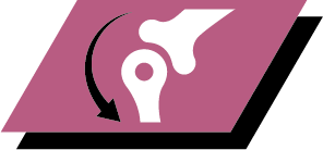 A combination of key nutrients that helps to support healthy joints for your puppy's active lifestyle