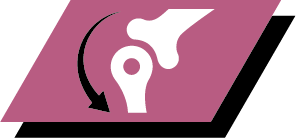 A combination of key nutrients that helps to support healthy joints for your dog's active lifestyle