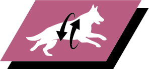 Formulated for large breed dogs with an athletic physique to help support healthy joints and an active lifestyle