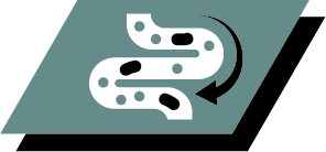 Contains prebiotics scientifically proven to increase bifidobacteria for a better gut microflora balance