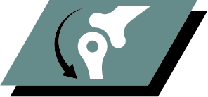 A combination of key nutrients that helps to support healthy joints for your puppy's active lifestyle