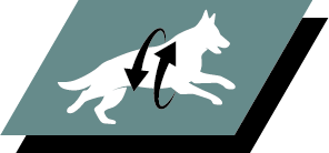 Formulated for large breed dogs with an athletic physique to help support healthy joints and an active lifestyle