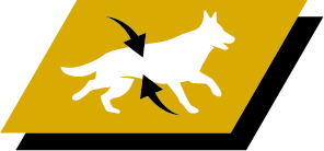 Promotes up to 60% body fat loss within 12 weeks, and healthy weight maintenance afterwards when combined with a daily walk