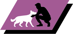 Proven to help support brain function and helping to promote interaction with the family. 