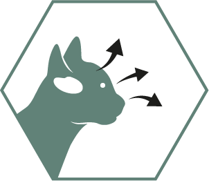 Helps support healthy vision and brain development thanks to DHA