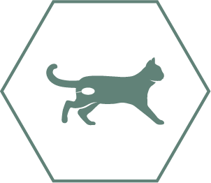 Helps maintain urinary health in neutered cats