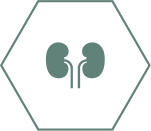 Helps promote healthy kidneys