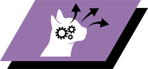 Contains DHA for healthy vision and brain development