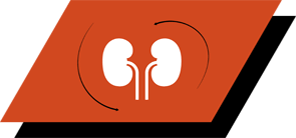 With arginine, antioxidants and omega-3 fatty acids to promote healthy kidney function