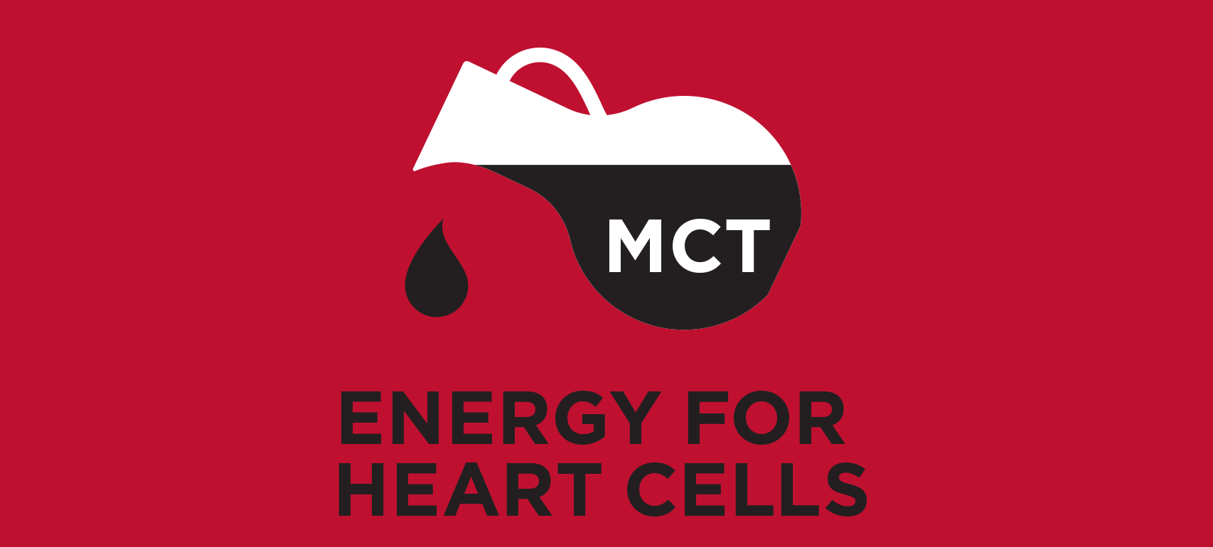 Energy for Heart Cells
