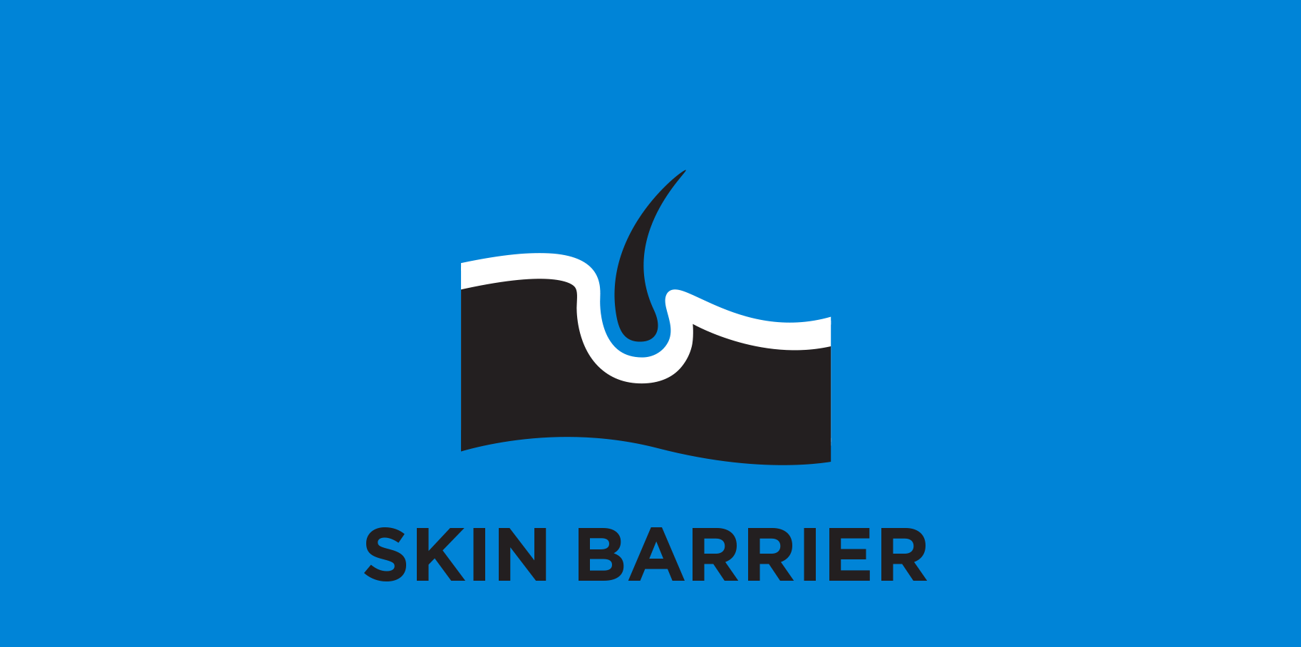 Skin Barrier